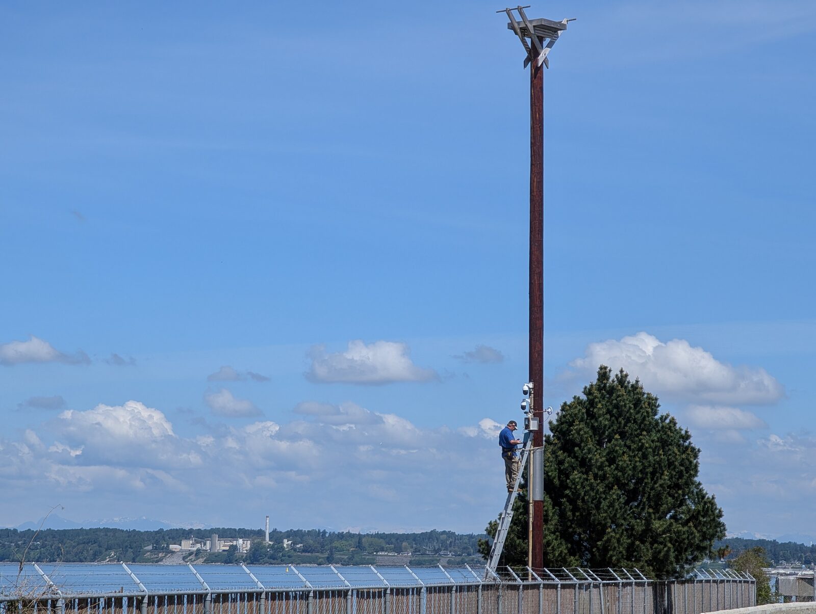 The osprey pole at Marine Park, with a person on a ladder installing cameras and Bellingham Bay in the background.